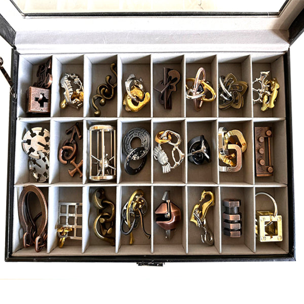 Selected Metal Puzzles (24 pcs/set )with Collection Case